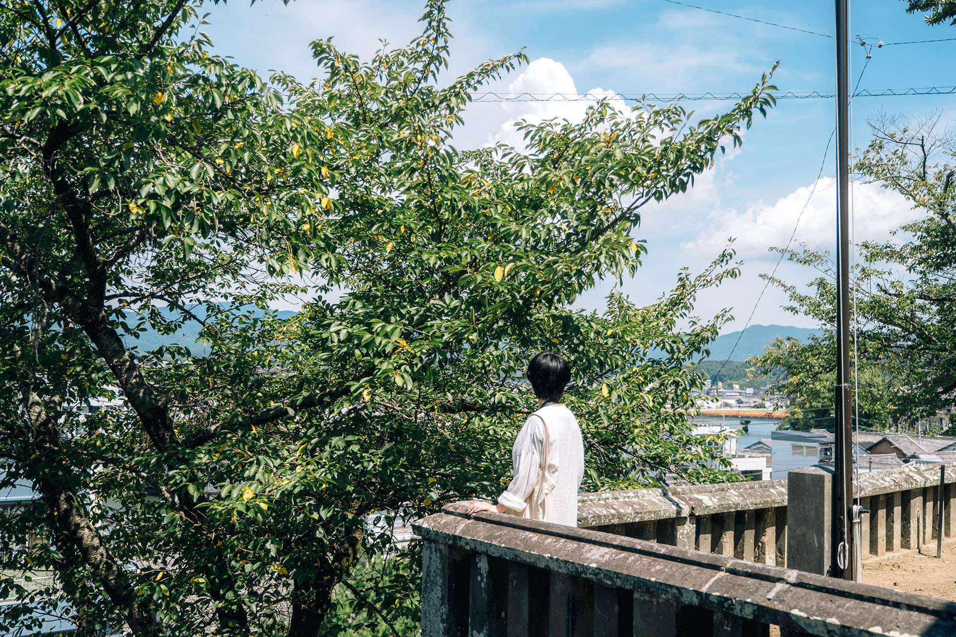 臼杵市の風景写真4